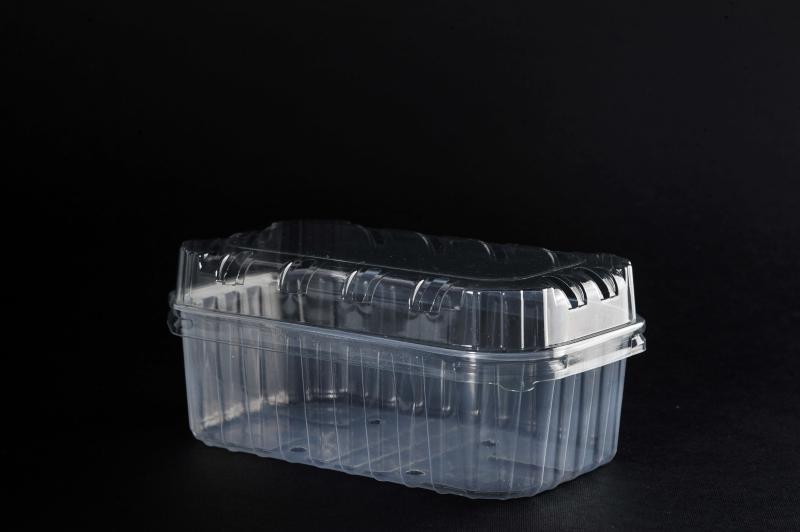 Fruit container with a lid 500ml