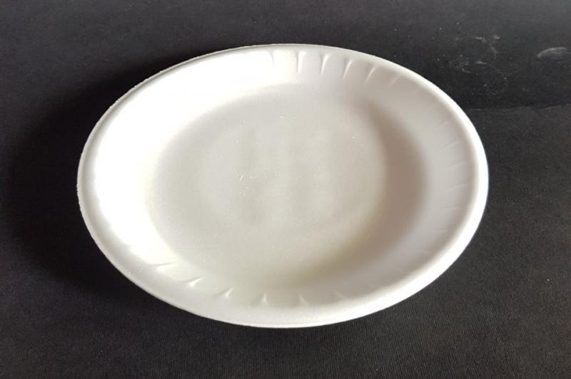 Plastic plate small shallow