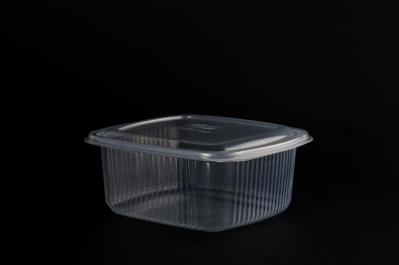 Dishes with a fixed lid PP (up to 120°)