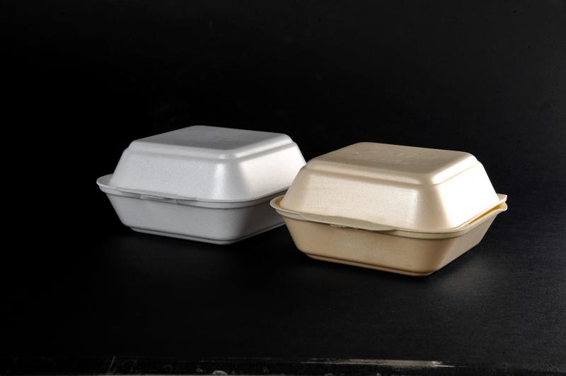 Polystyrene container with a lid(menu box) HB 6