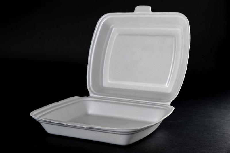 Polystyrene container with a lid(menu box) MB 1
