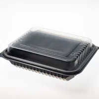 thumb MICROWAVEBLE CONTEINER 1