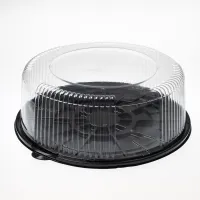 thumb YP 300